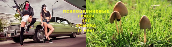 2c-b Богданович
